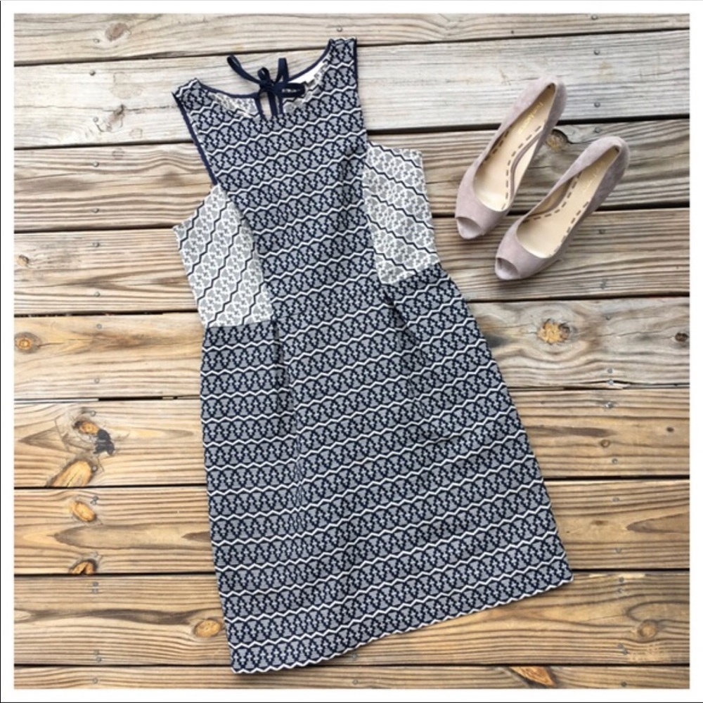LOFT Pleated Dress